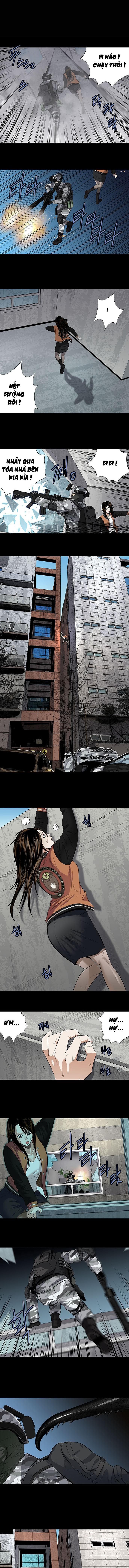 Đọc truyện Hive - Thảm họa ong độc - Chap 149